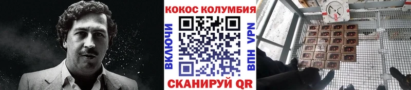 Кокаин Fish Scale  Зеленогорск 