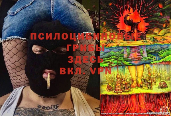 шишки Анжеро-Судженск