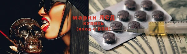 хмурый Анива