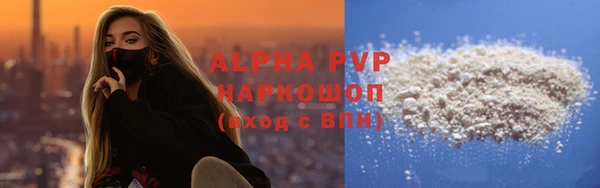 хмурый Анива