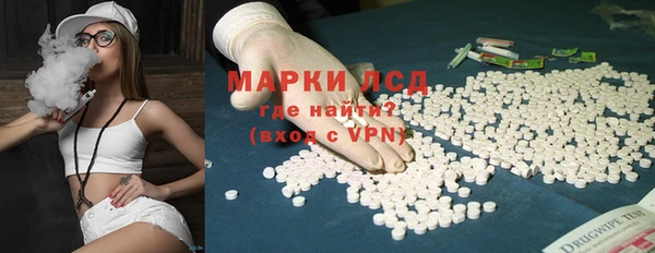 хмурый Анива