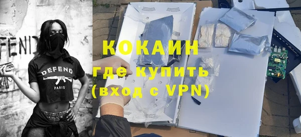 хмурый Анива