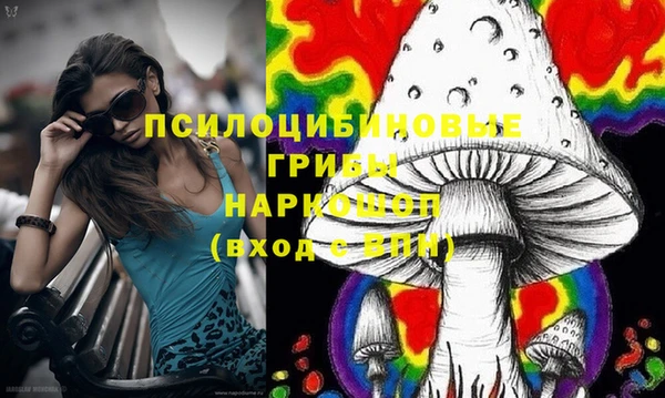 шишки Анжеро-Судженск
