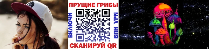 Галлюциногенные грибы Psilocybe  наркота  Зеленогорск 