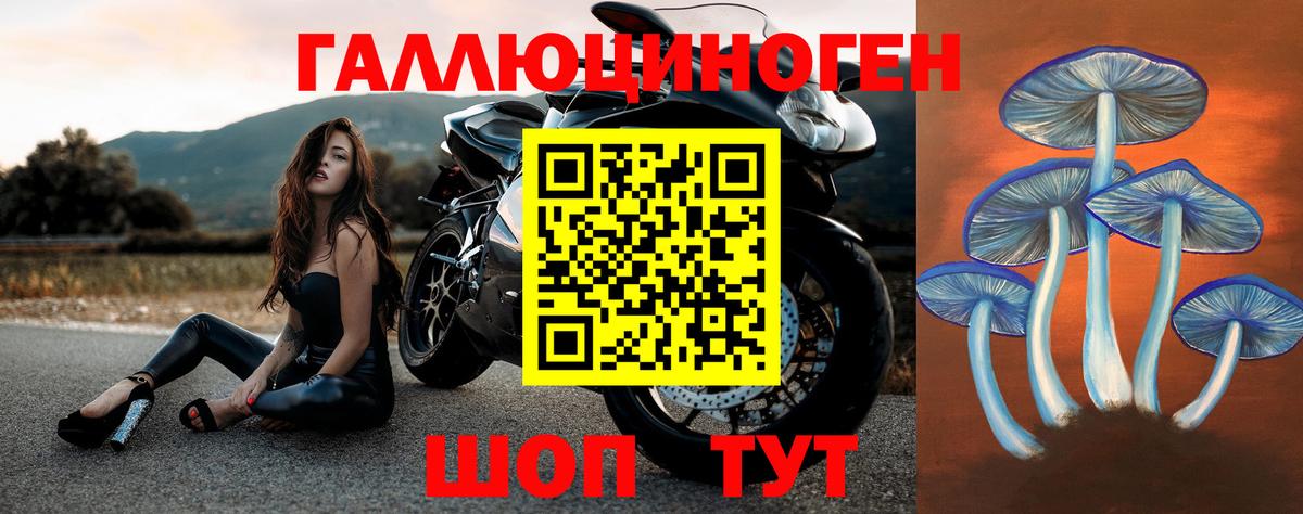 магазин продажи наркотиков  Вход с VPN  Зеленогорск  Галлюциногенные грибы Psilocybine cubensis  Псилоцибиновые грибы мухоморы 